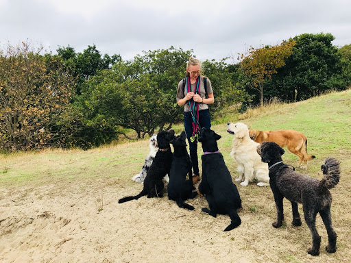 Hond&Geluk hondencoach Jorine Harry