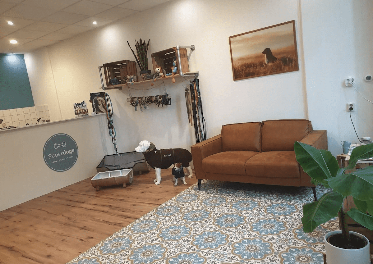 Hondentrimsalon & Hondenschool Superdogs Rotterdam
