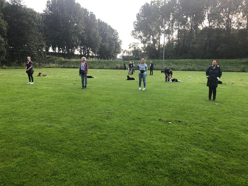 Hondenschool Rotterdam USV-VOP