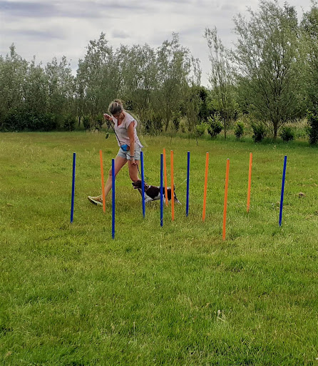 Hondenschool & Hondenopvang Doggyland