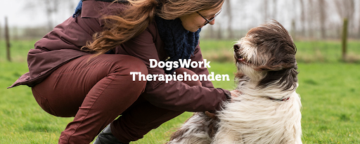 DogsWork