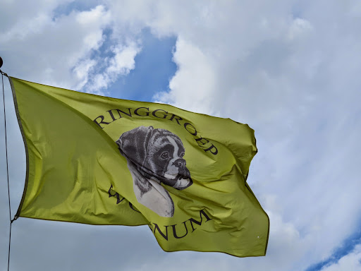 Kringgroep Wognum van de Nederlandse Boxerclub
