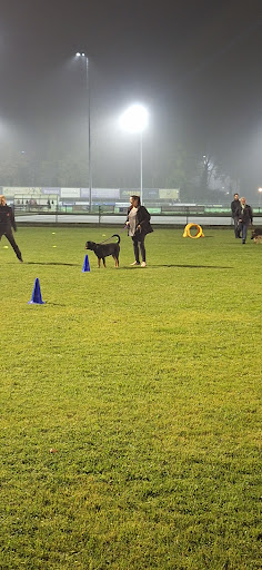 Twentse Kynologen Vereniging TKV Enschede