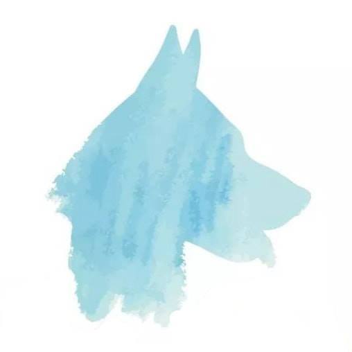 Honden Training Centrum Hellendoorn