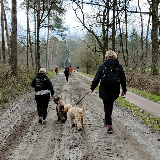 Doggybalance | Hondendagopvang en training Enschede