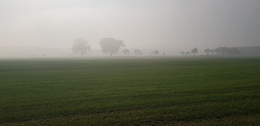 VDH Kringgroep Beuningen