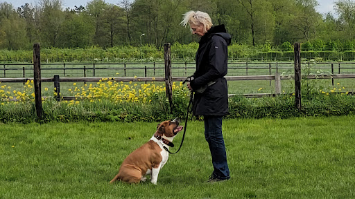 Nathalie van der Zee, Tinley-gedragstherapeut voor Honden