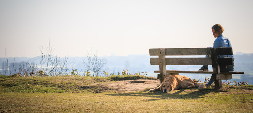 Hond en Bewustzijn - Voor een gelijkwaardige relatie met je hond