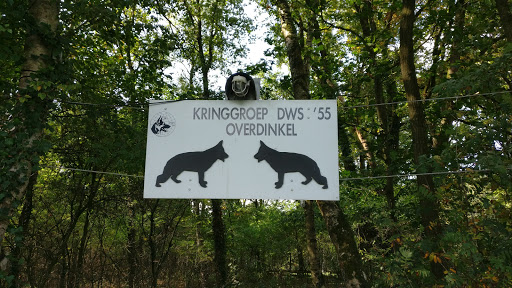Duitse herder kringgroep D.W.S. '55