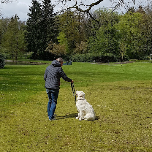 Passie voor Honden