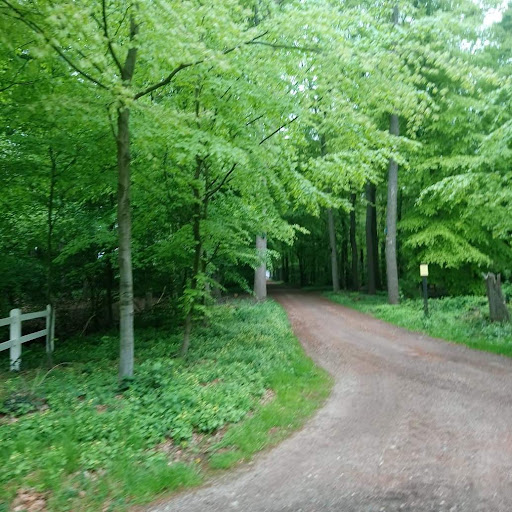 Humphreys Hondenschool