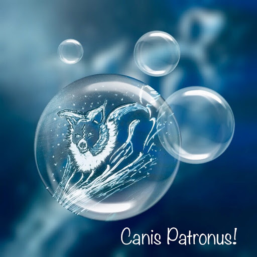 Canis Patronus Hondenschool