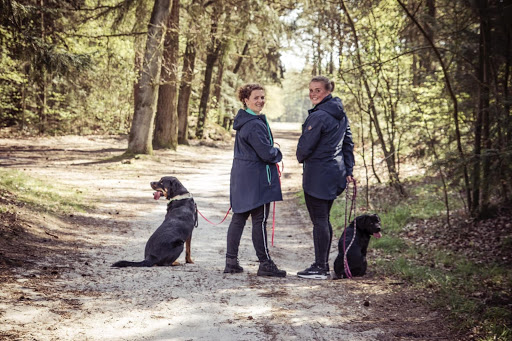 Hondenschool Kynoloki hondentraining coach
