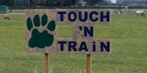 Touch ’n train
