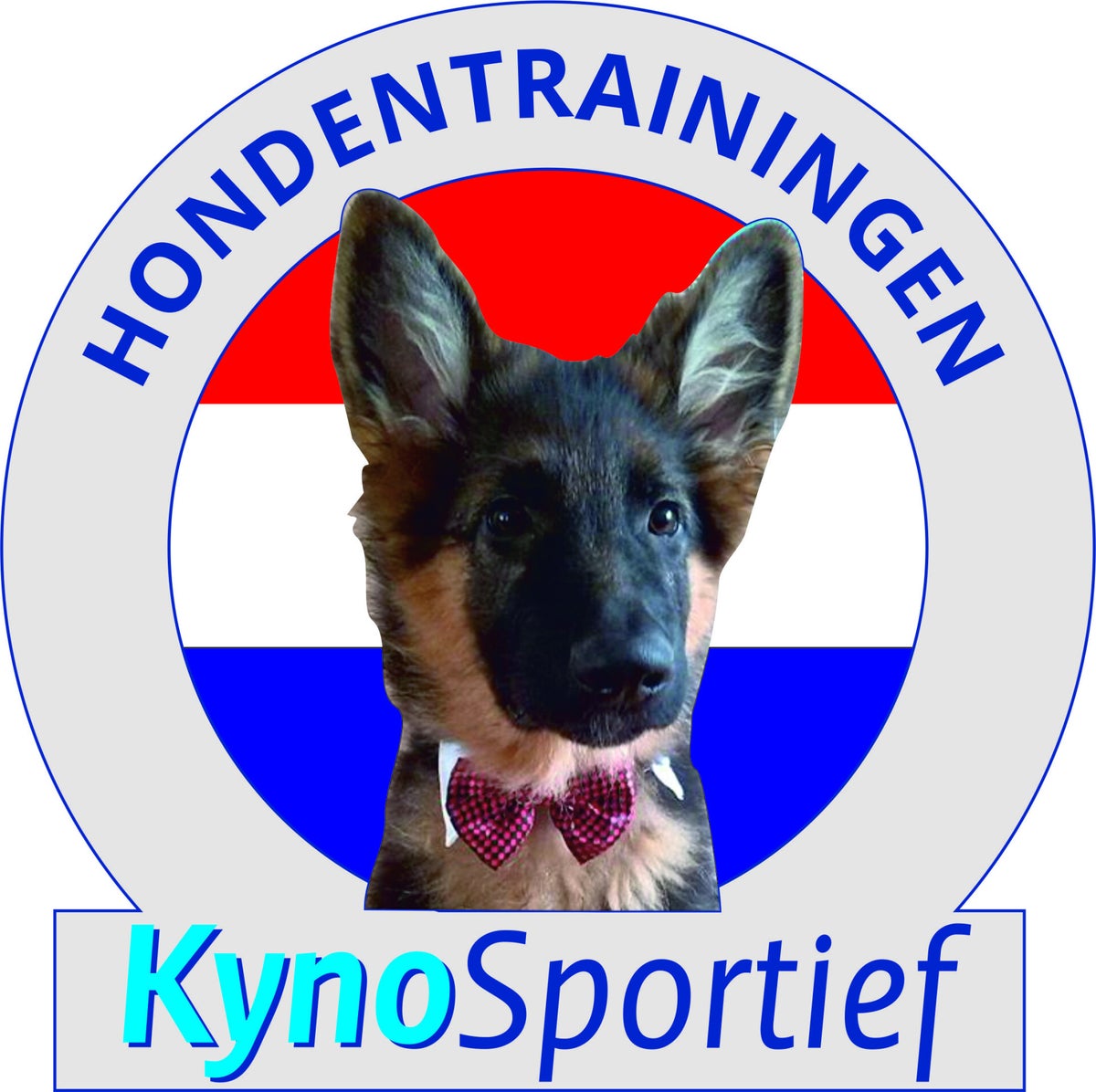 Hondensnackies.nl