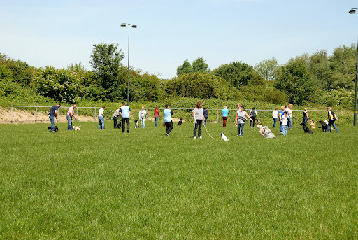 Hondenschool Stichting Vrienden van Waf