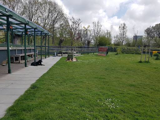 Stichting Hondensport Haaglanden