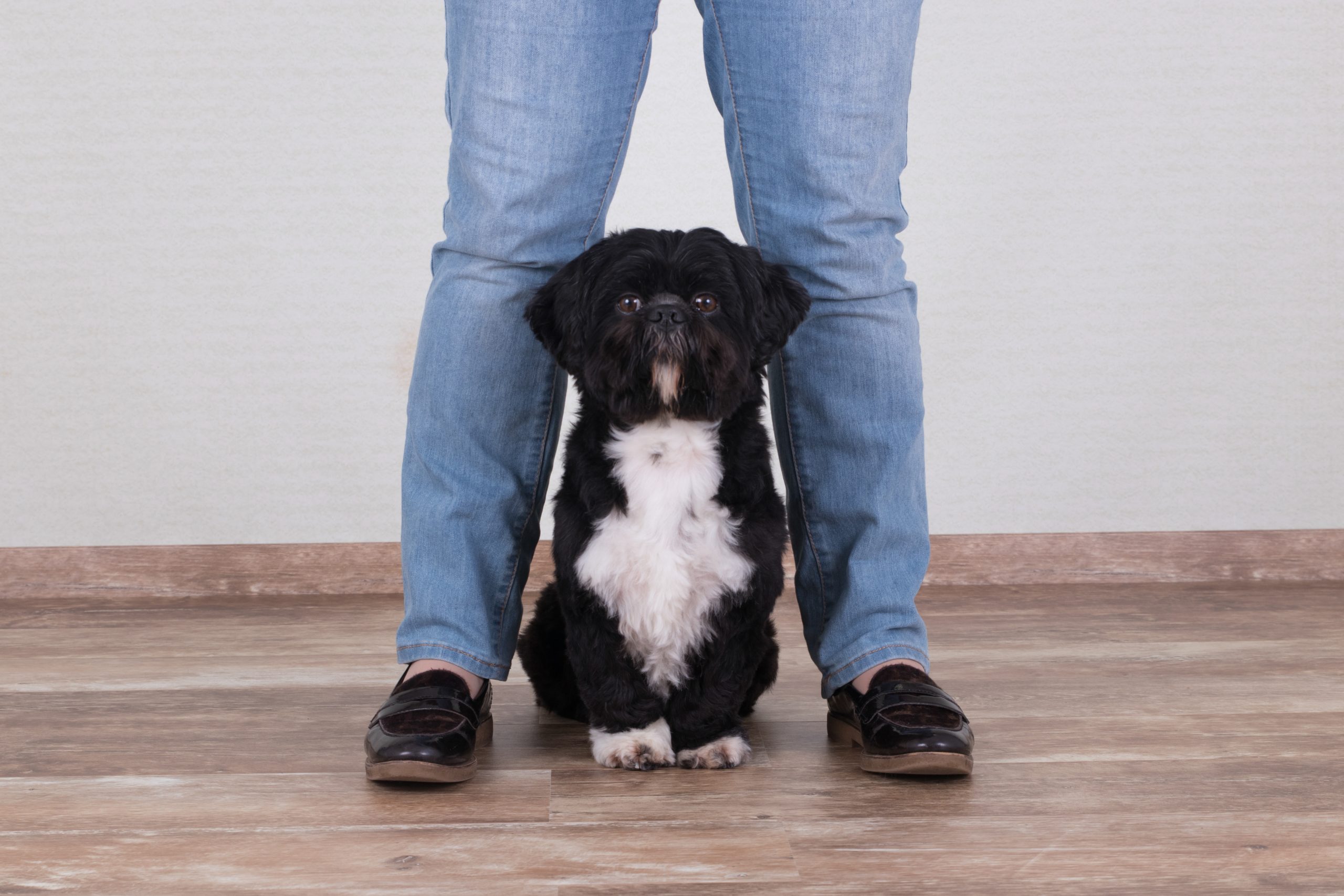 Honden Educatie Centrum NN