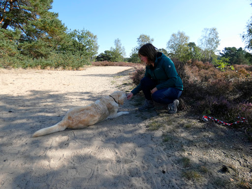 Samen Sterk Training en Gedragstherapie