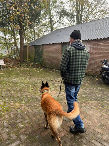Herstel op Poten