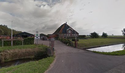 Schapendrijven