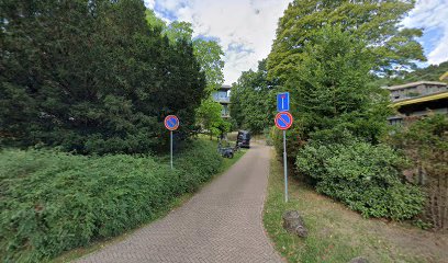 Bloemendaalse hondenschool