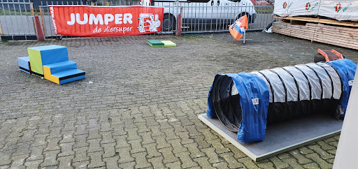 Quiebus hondenschool Pim Hondenopvoeding
