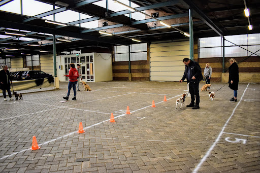 Stichting Sneker Hondenschool