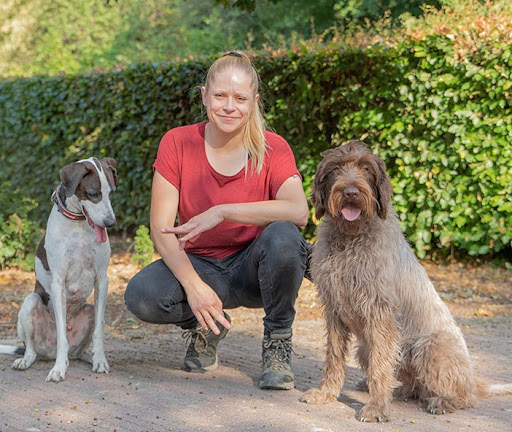 Dogs2School