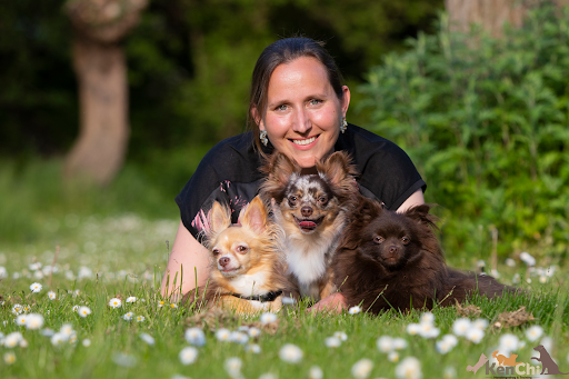 KenChi Dierengedrag & Training - Puppytraining, puppycursus en hondentraining