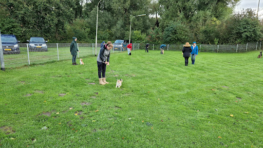 Hondenvereniging Elburg