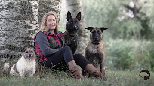 Honden gedragstherapeut Dream Dog Coaching - Kynologisch Gedragstherapeut