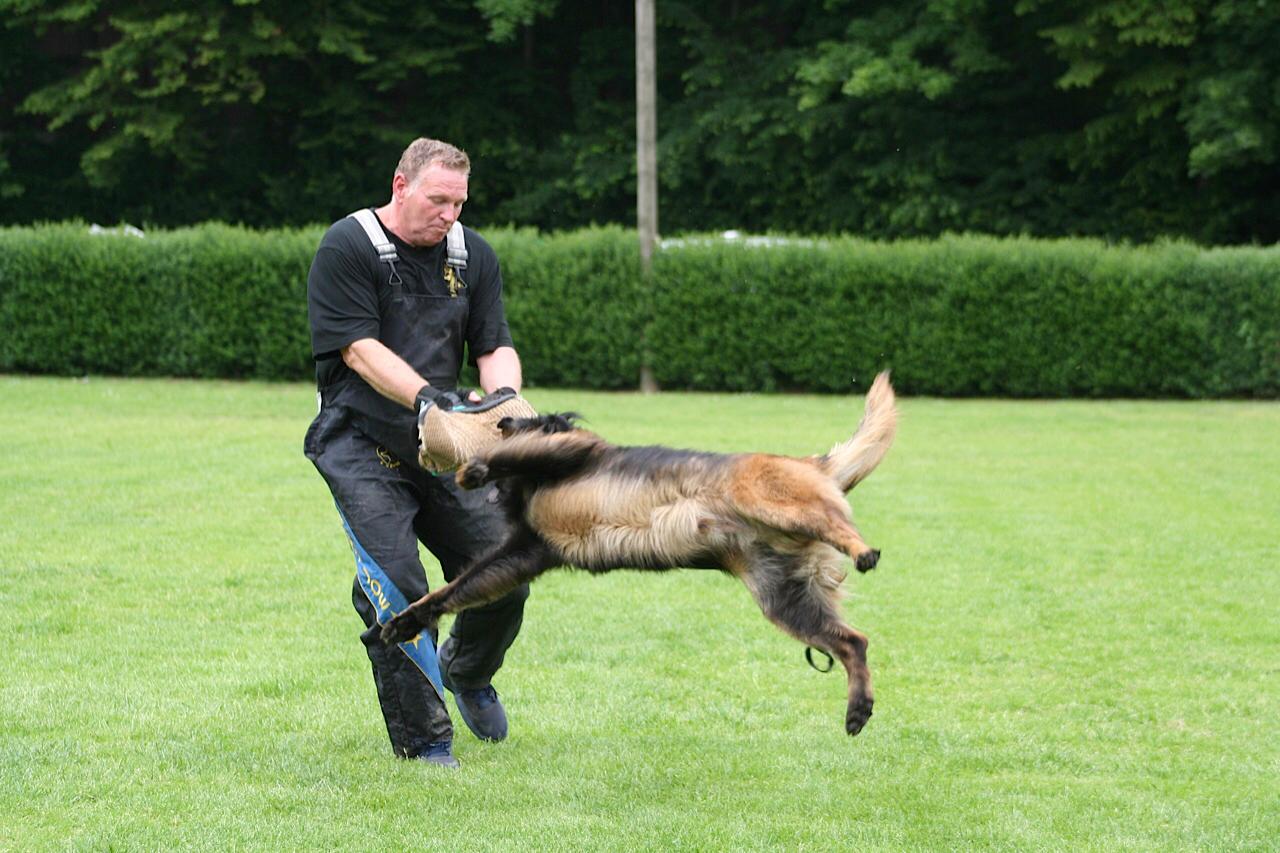 K9 Unique