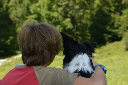 De Hond Helpt