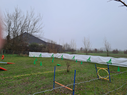 hondenschool PED