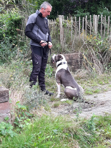 Haanappel Honden Coaching