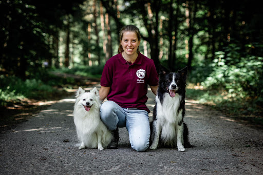 MyDogs Hondenschool