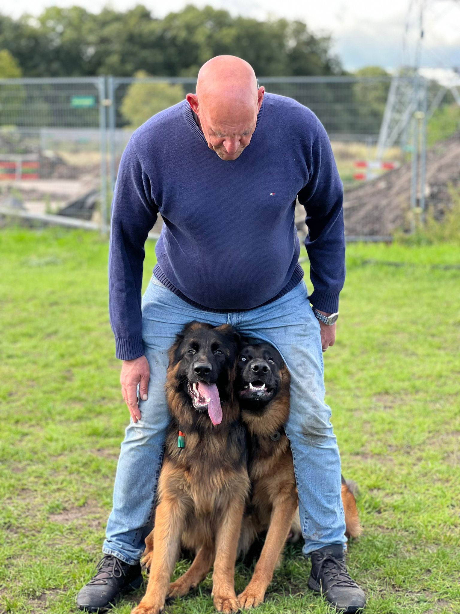 Gedragscursus en hondenlessen in Diemen bij Dogs Company