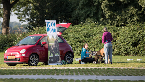 Team Hond