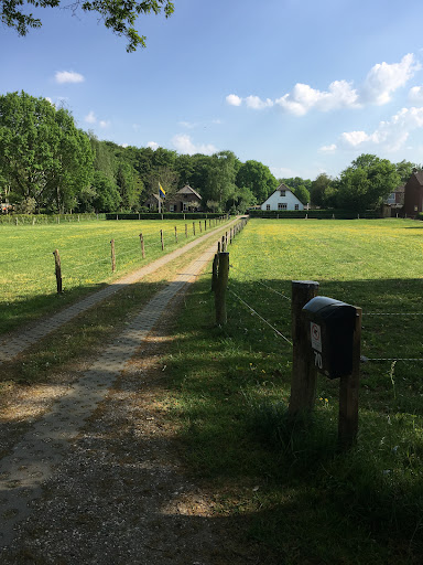 Anne-Marie Rodenburg, Praktijk voor klassieke homeopathie voor dieren