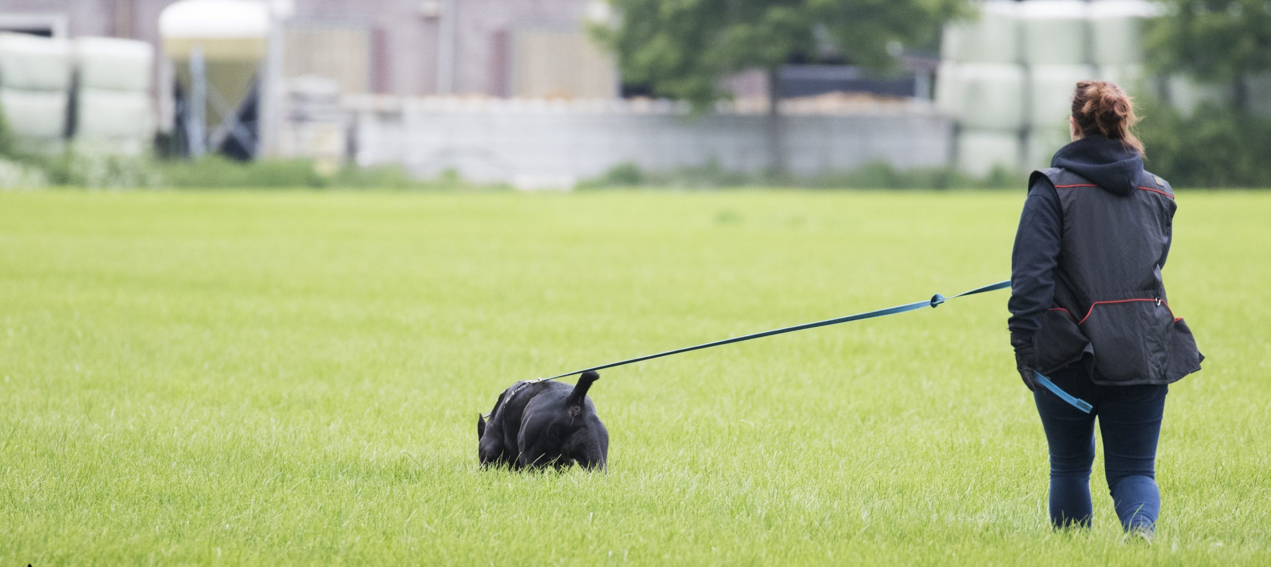 K9 Scent Tracing Education & Services ( K9 STES)