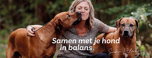 Balans Borne