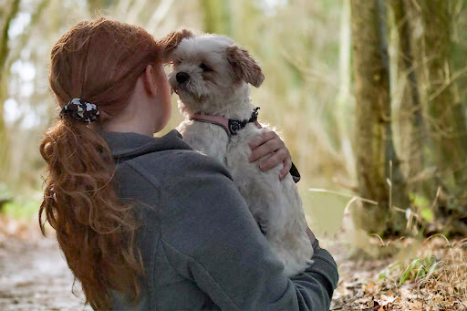 Dierenservice Joëlle Veenendaal