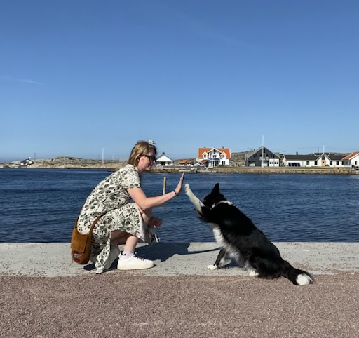 Hondentraining bij Amy