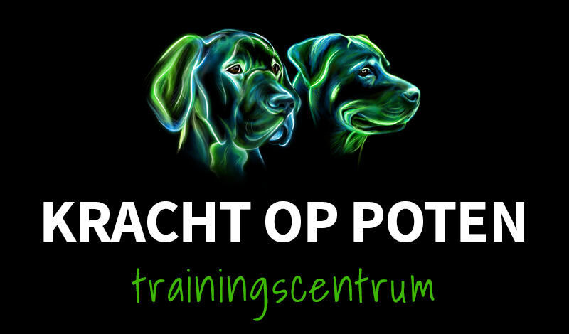 Kracht op poten