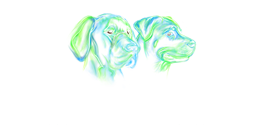 Kracht op poten