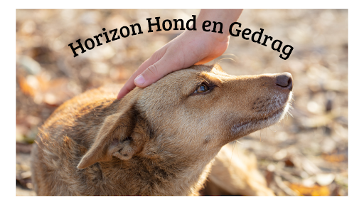 Horizon Hond en Gedrag