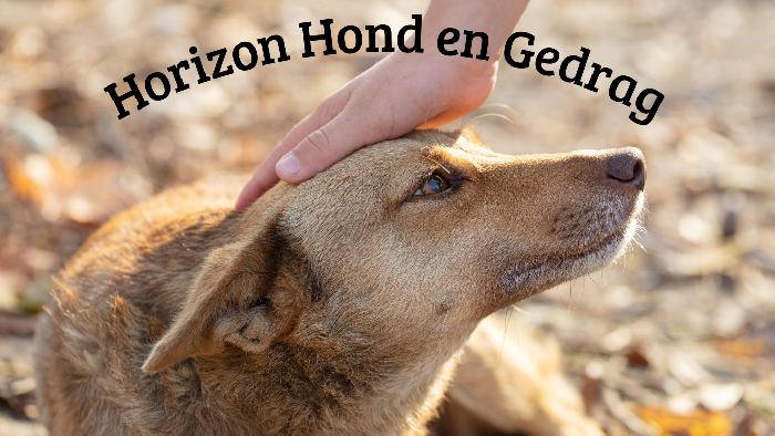 Horizon Hond en Gedrag