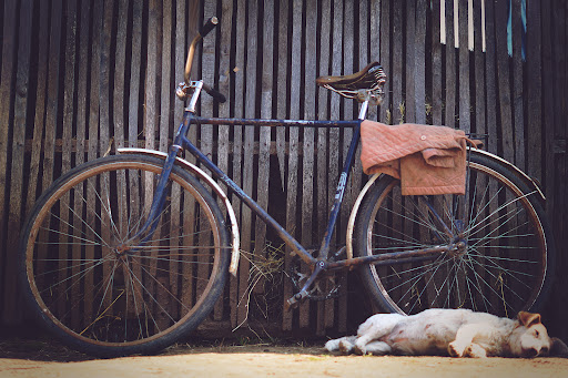 De Fiets- en Hondenstop