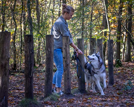 Hond & Gedrag De Kempen